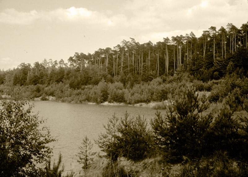 deponie-ende02.jpg