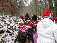 Karawane los in Richtung Wald