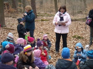 Ostern im Wald