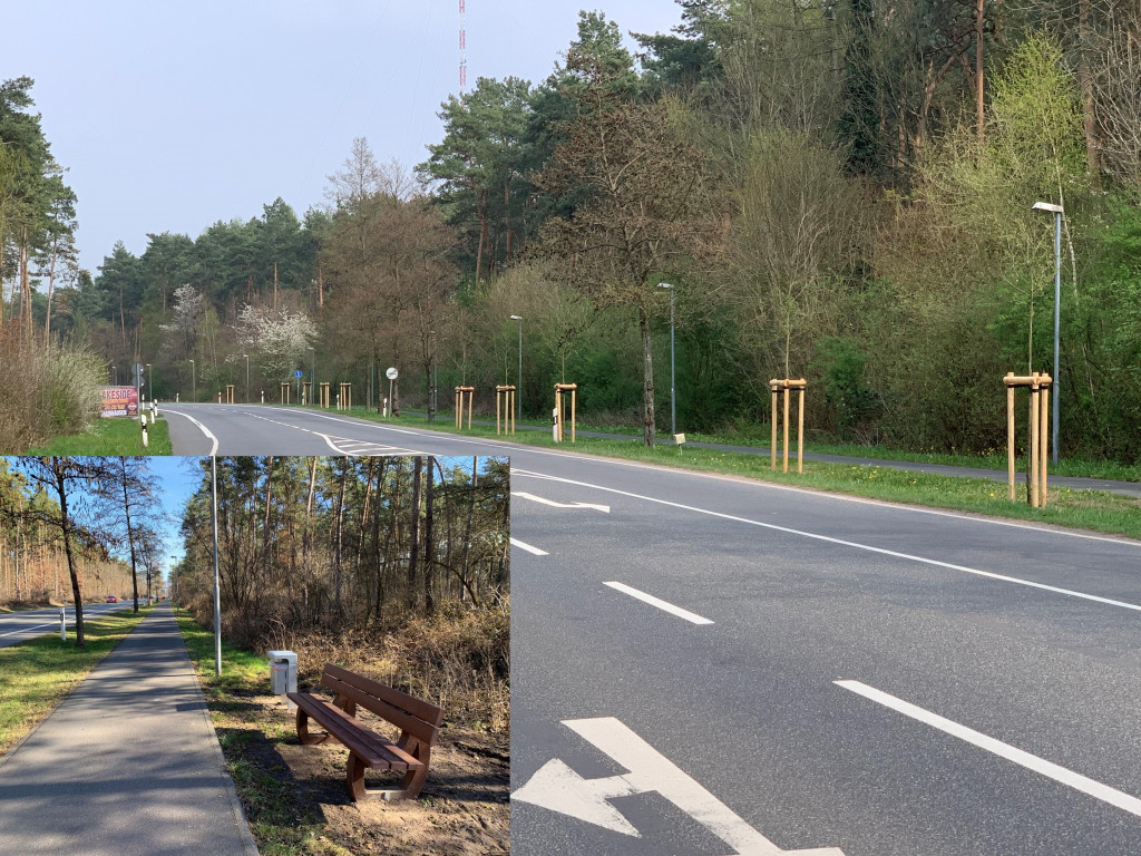 Fotocollage Bänke und Bäume