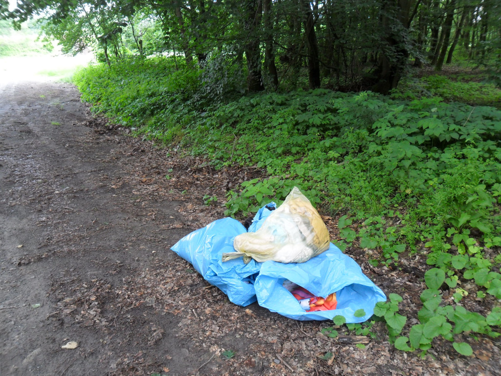 Illegale Müllablagerung verl. Waldstr 001