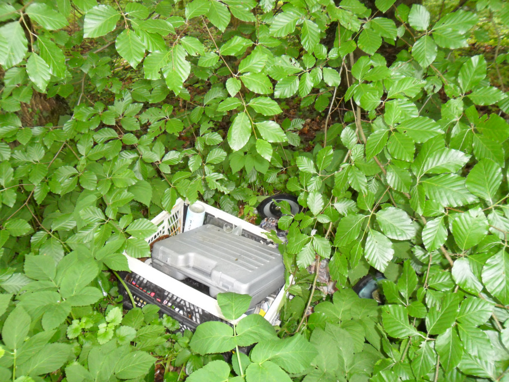 Illegale Müllablagerung verl. Waldstr 002