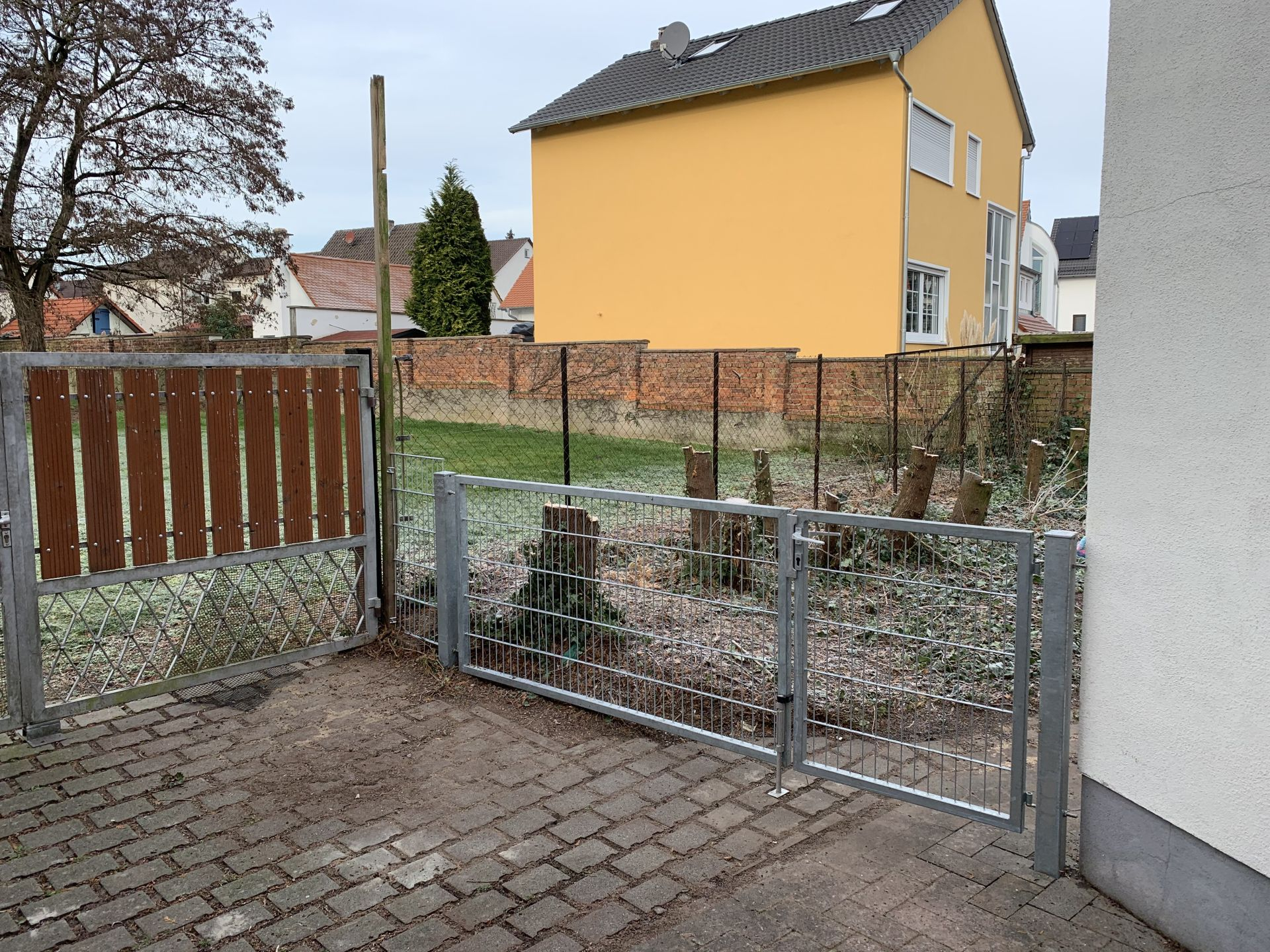 Pusteblume_außen2