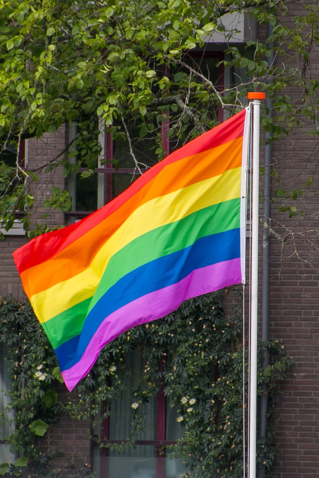 Regenbogenflagge