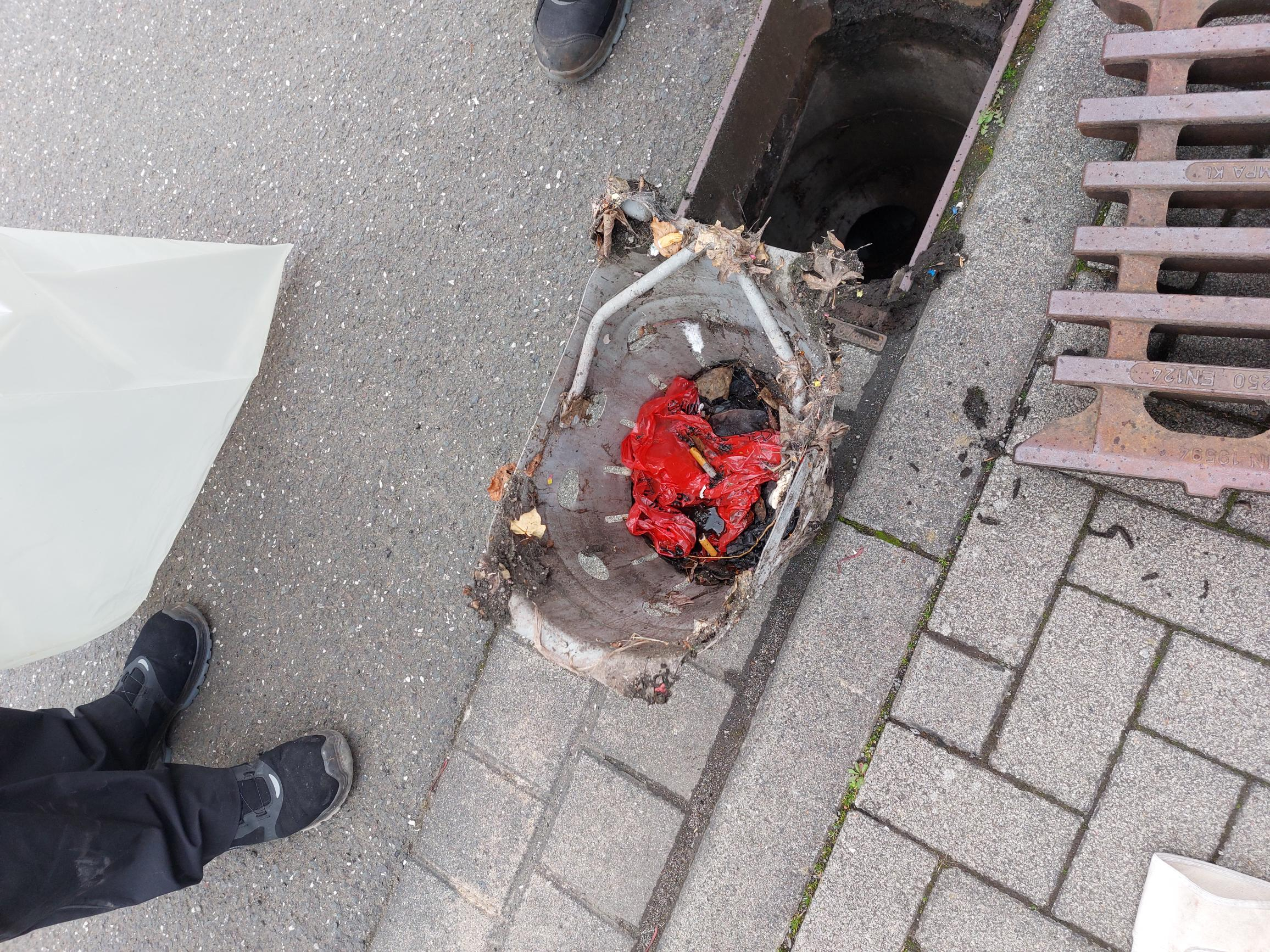 Hundekot13
