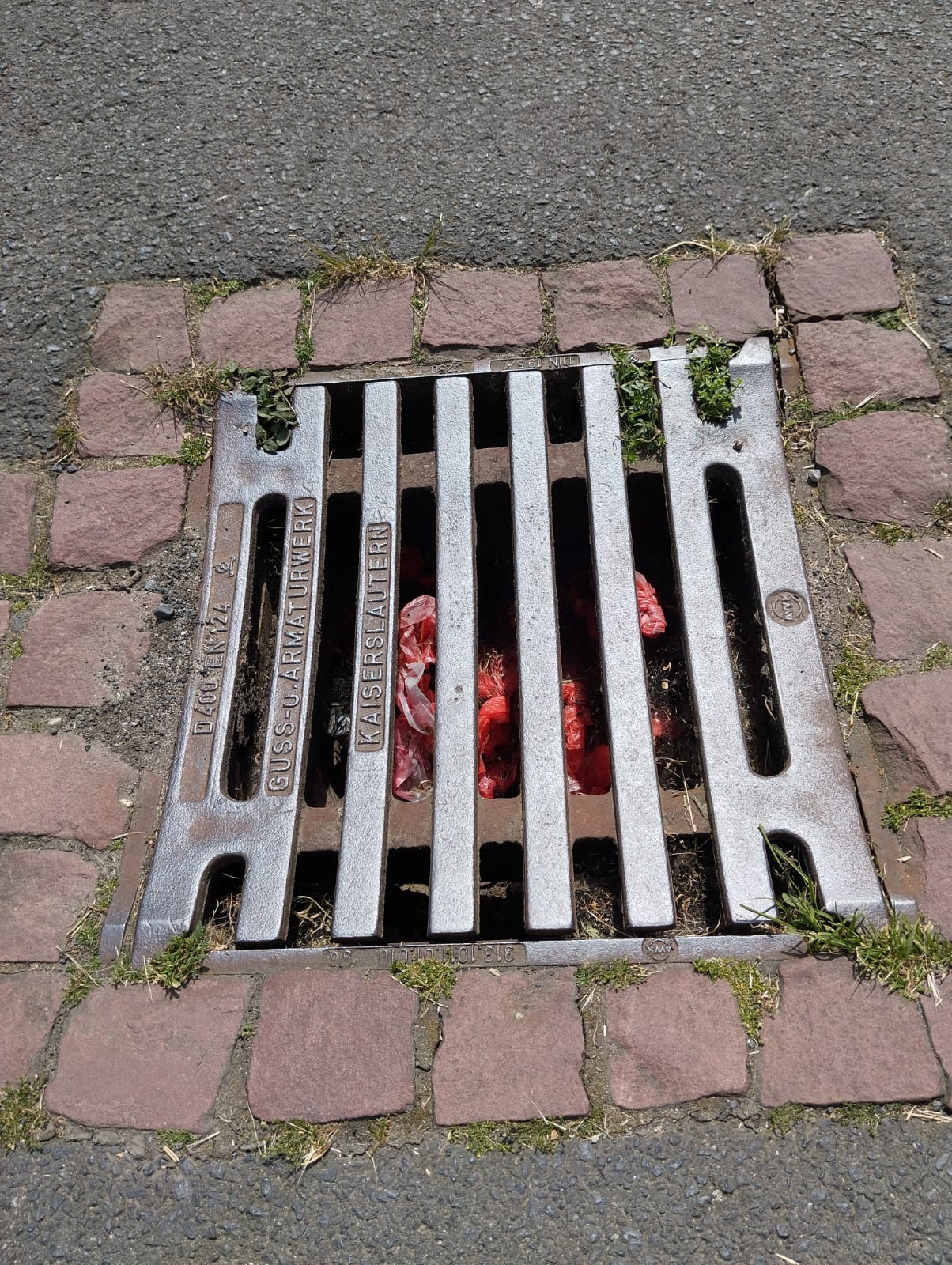 Hundekot2