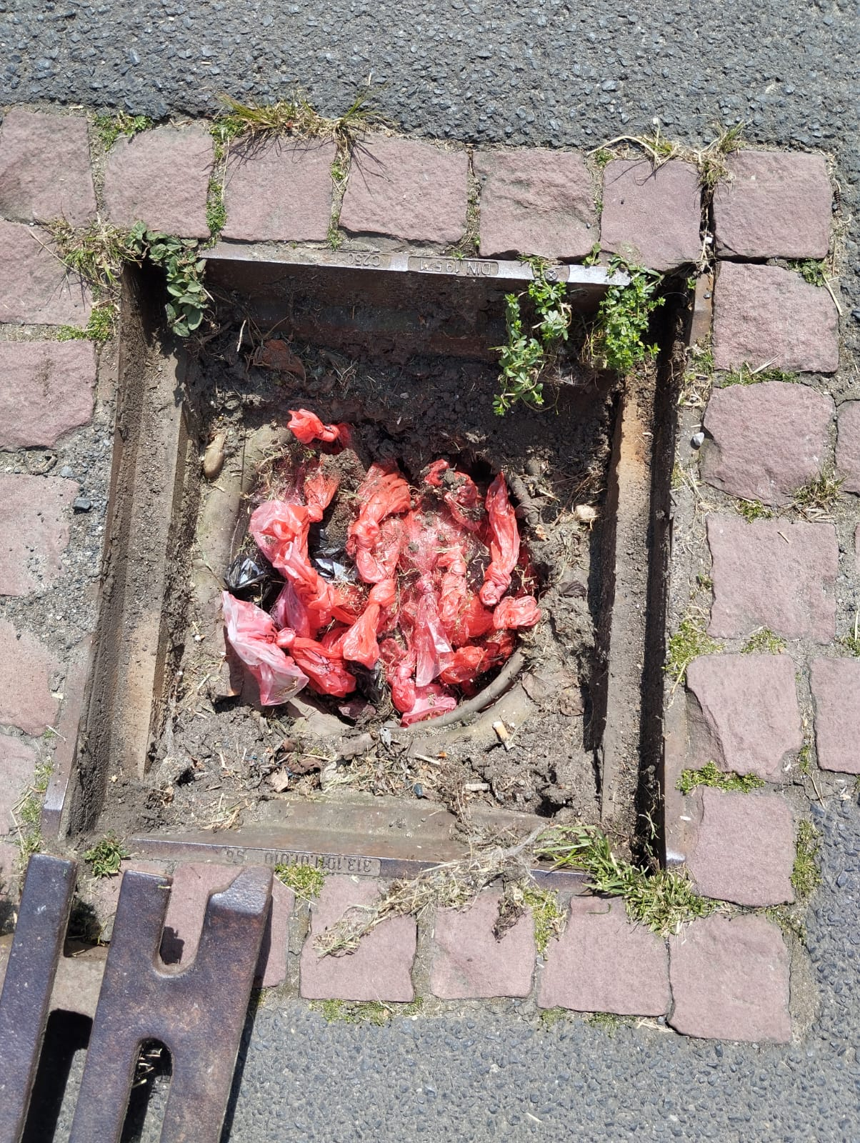 Hundekot8