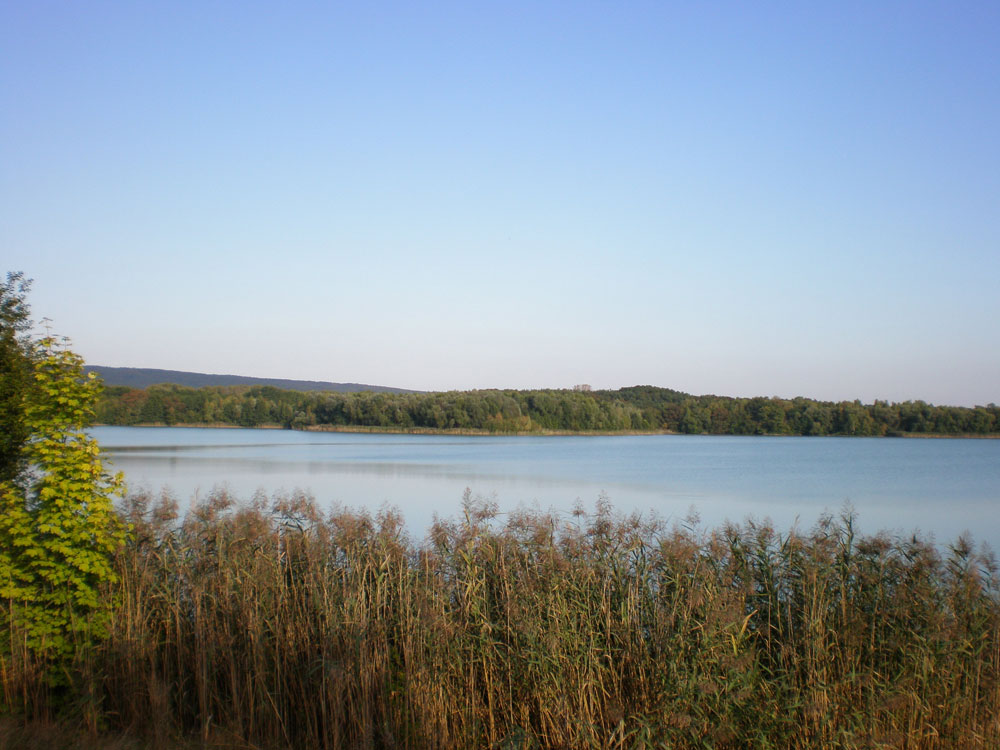 naturschutzsee